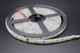 ЛЕНТА СВЕТОДИОДНАЯ 24V 5050 SMD 30LED 7,2W IP65 6500К